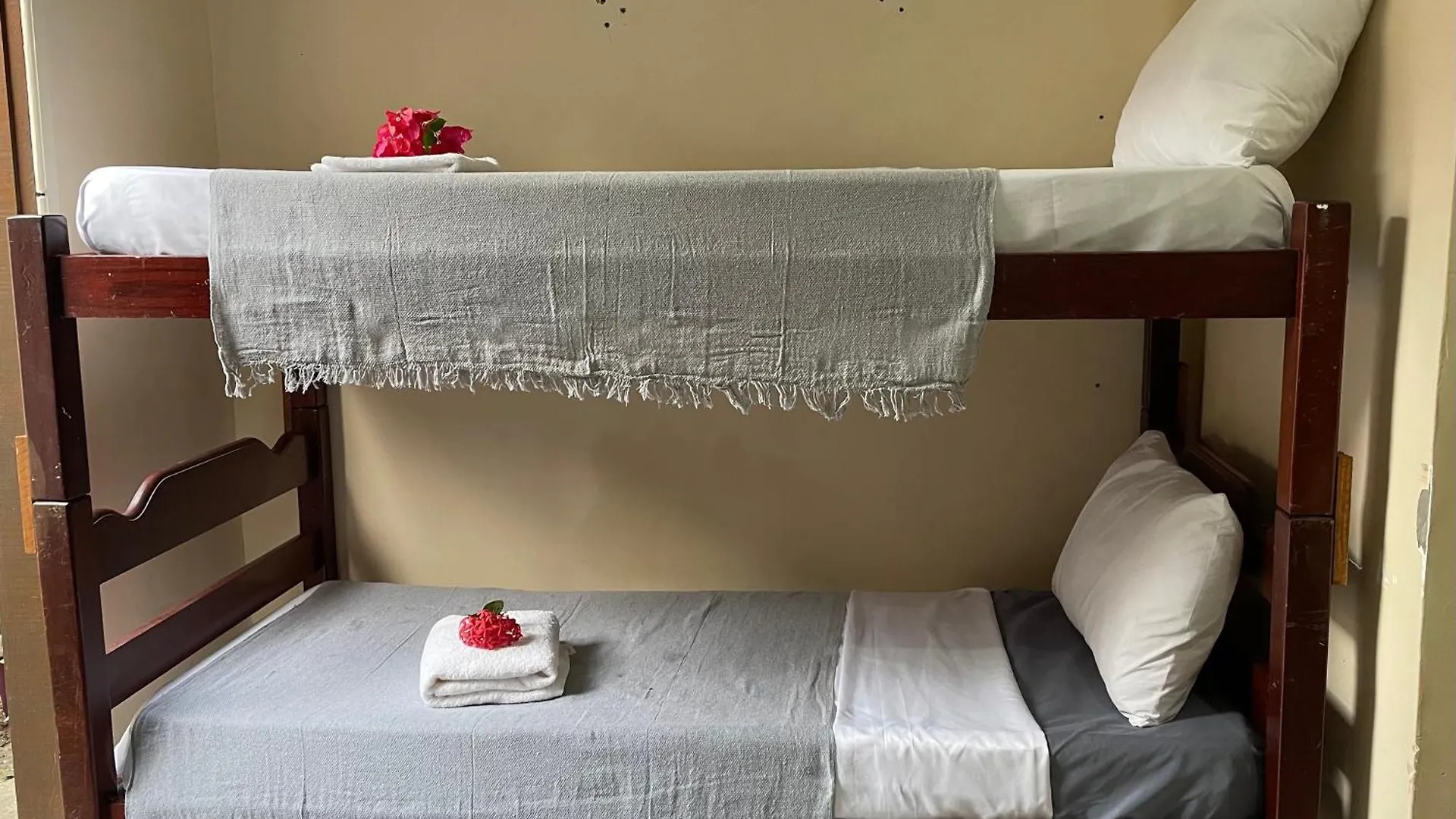 בית הארחה פורטו סגורו Benfica Hostel ברזיל